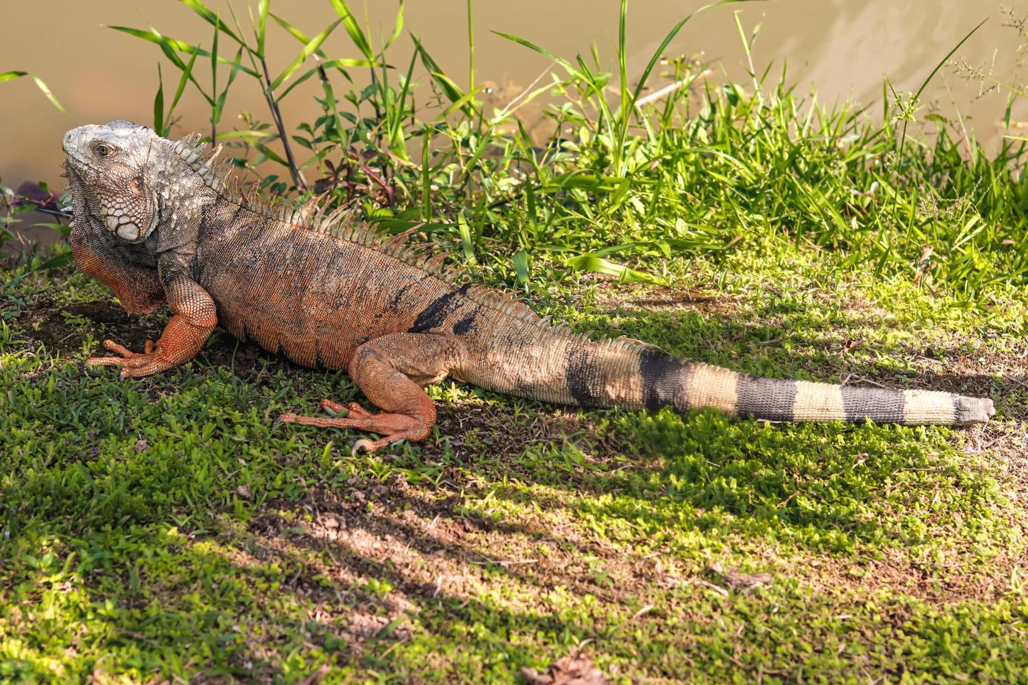 Los Colores Ecoparque Doradal Екстер'єр фото